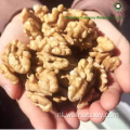 Bulkpakking Walnut Kernels Lichte helften voor verkoop